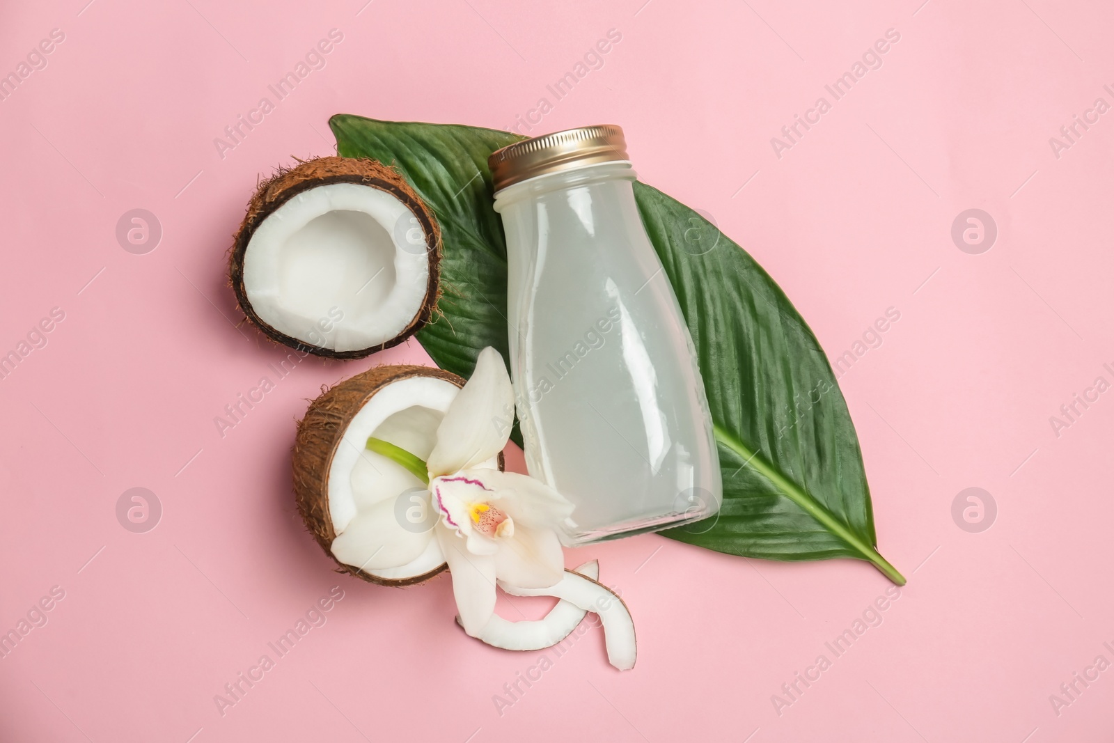 Photo of Bottle of coconut water and fresh nuts on color background