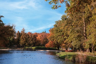 Picturesque view of park with beautiful trees and lake. Autumn season