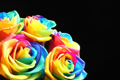 Photo of Amazing rainbow rose flowers on black background