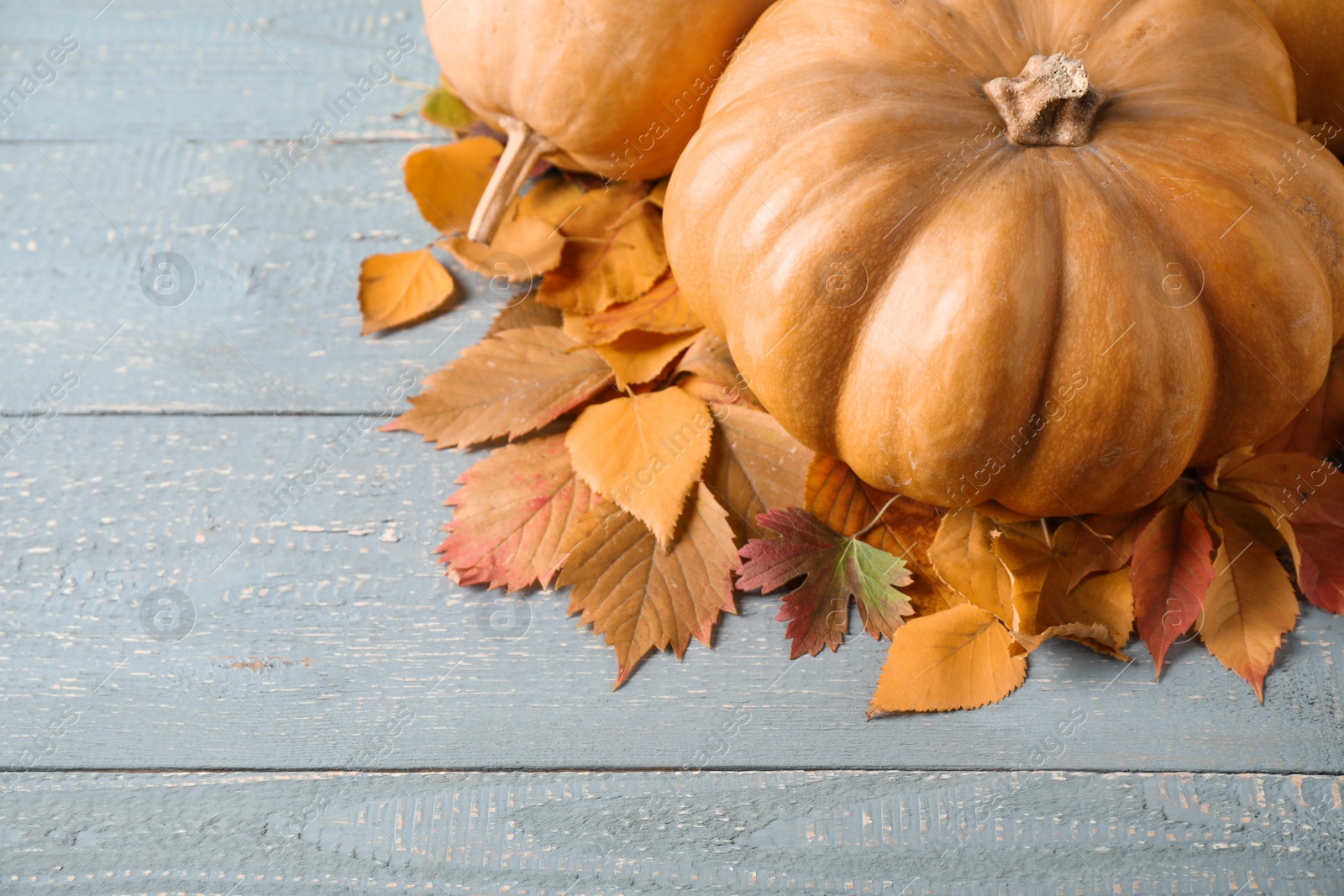 Photo of Ripe pumpkins on wooden background, space for text. Holiday decoration