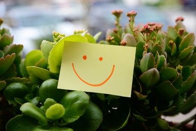 Note with funny face among beautiful plants against blurred background
