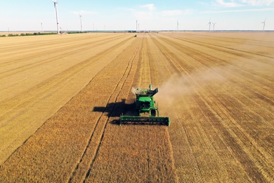 Modern combine harvester working in field on sunny day. Agriculture industry