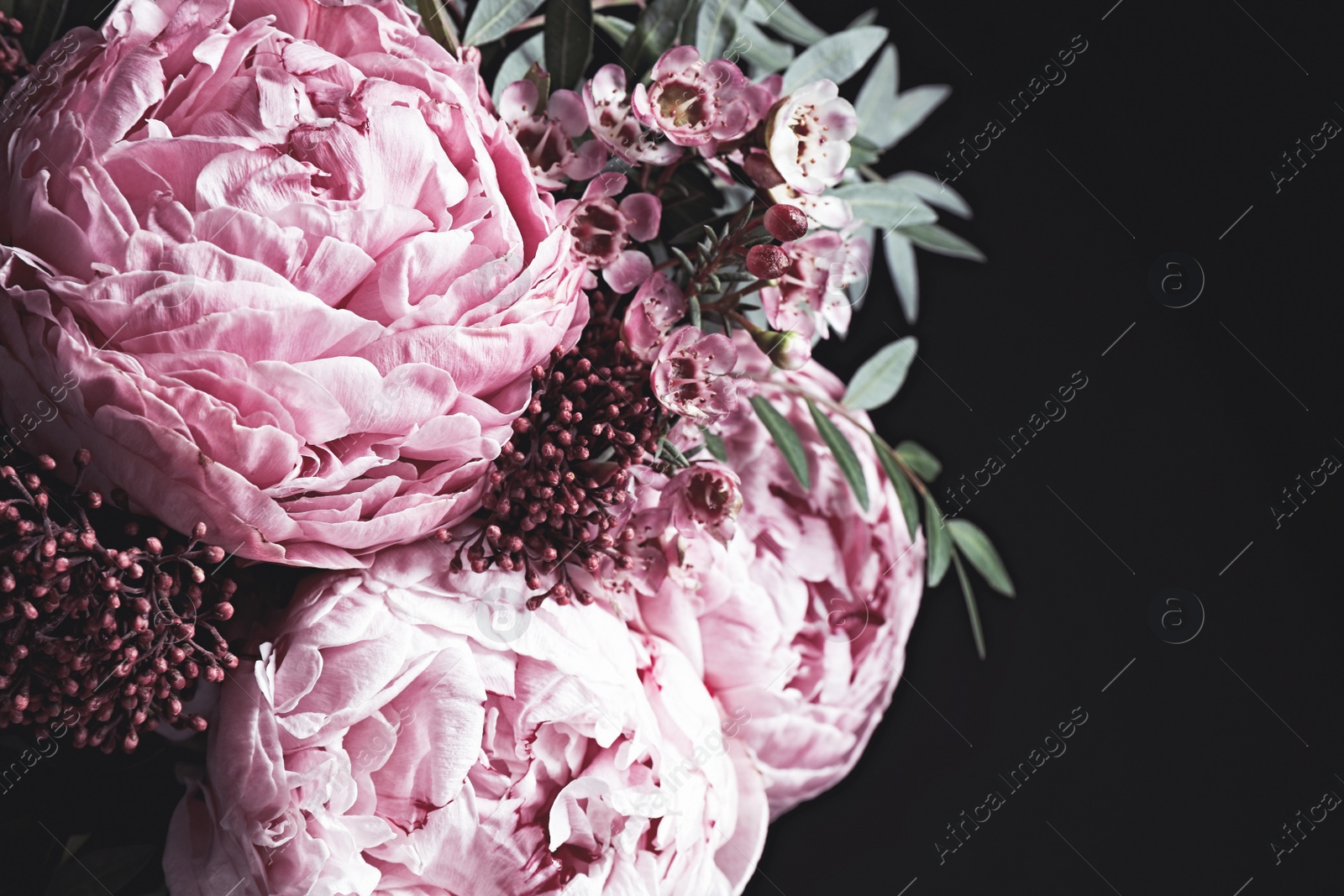 Photo of Bouquet of beautiful flowers on black background. Floral card design with dark vintage effect