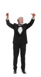 Photo of Professional conductor with baton on white background