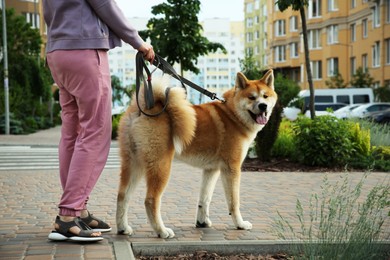 Photo of Woman walking her adorable Akita Inu dog on city street, closeup