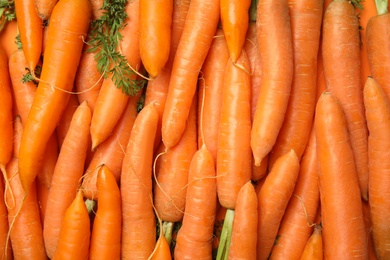 Photo of Ripe carrots as background, top view. Healthy diet