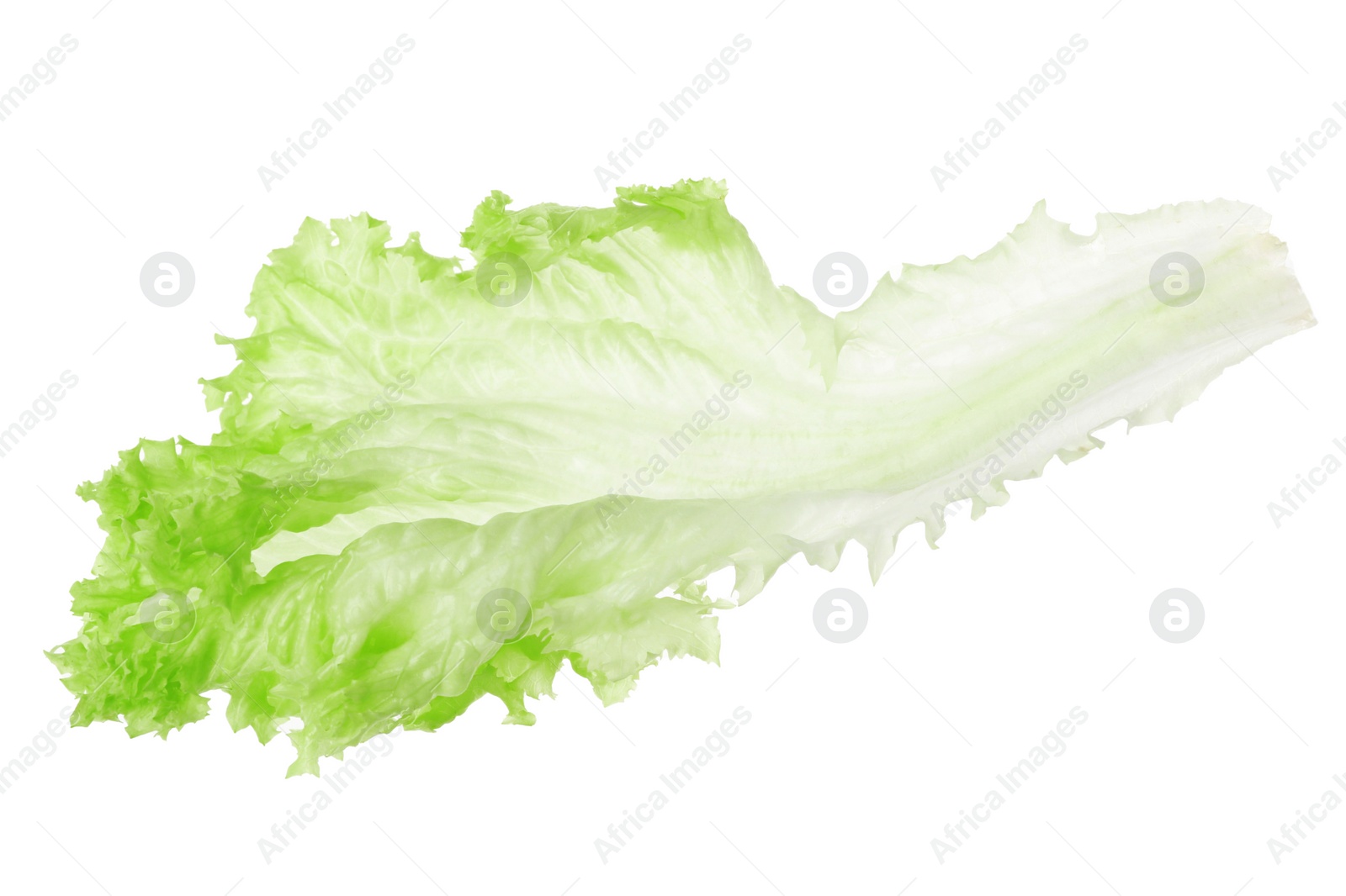 Photo of Fresh green lettuce leaf isolated on white