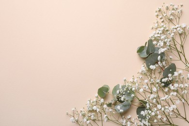 Beautiful gypsophila flowers and eucalyptus branches on beige background, flat lay. Space for text