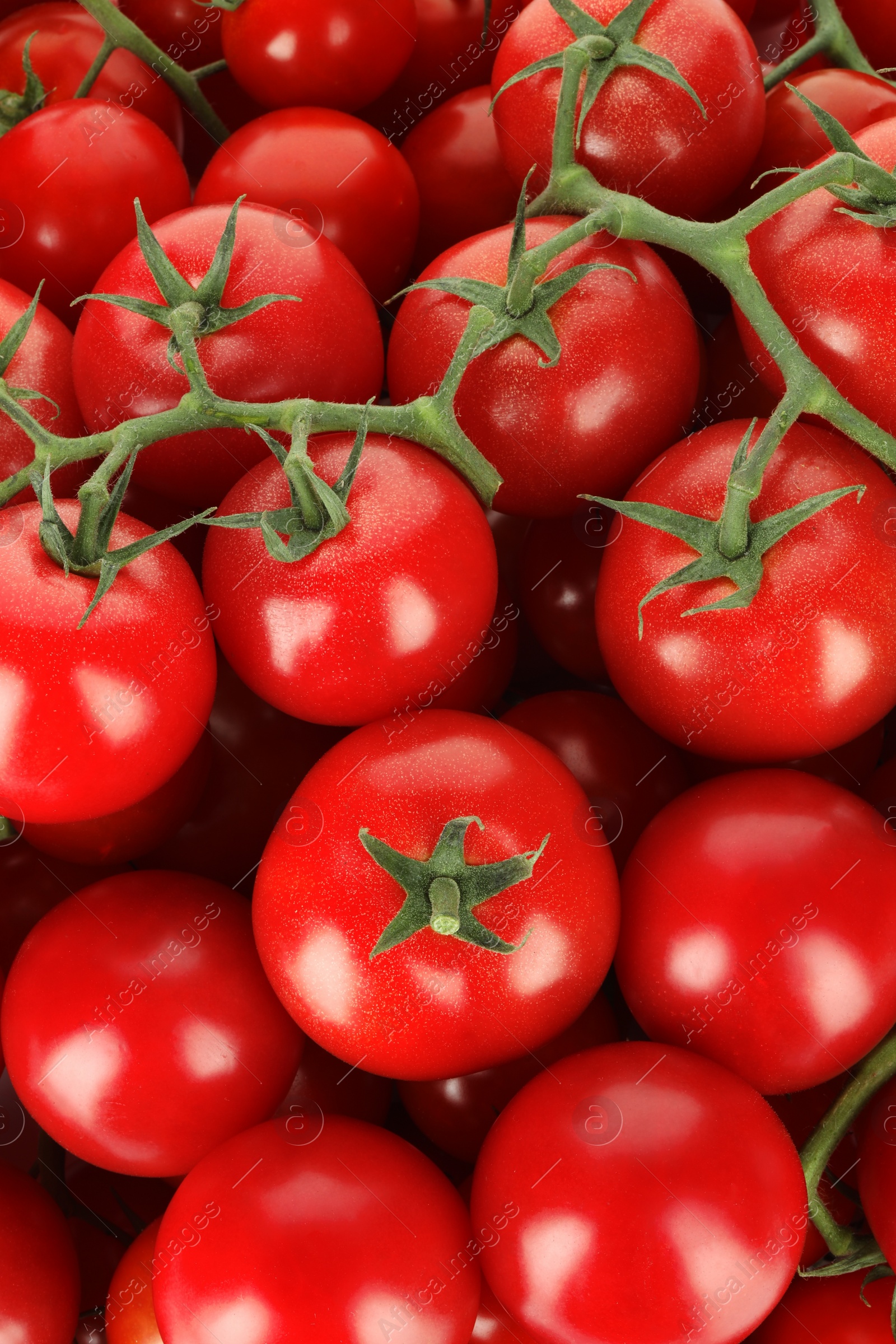 Photo of Many fresh ripe cherry tomatoes as background, top view