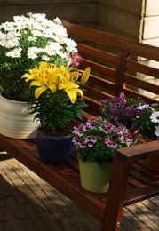 Many different beautiful blooming plants in flowerpots on wooden bench outdoors