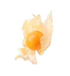 Ripe physalis fruit with calyx isolated on white