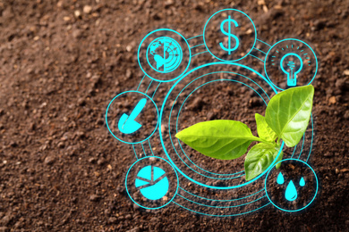 Image of Modern technology in agriculture. Green seedling and icons, top view
