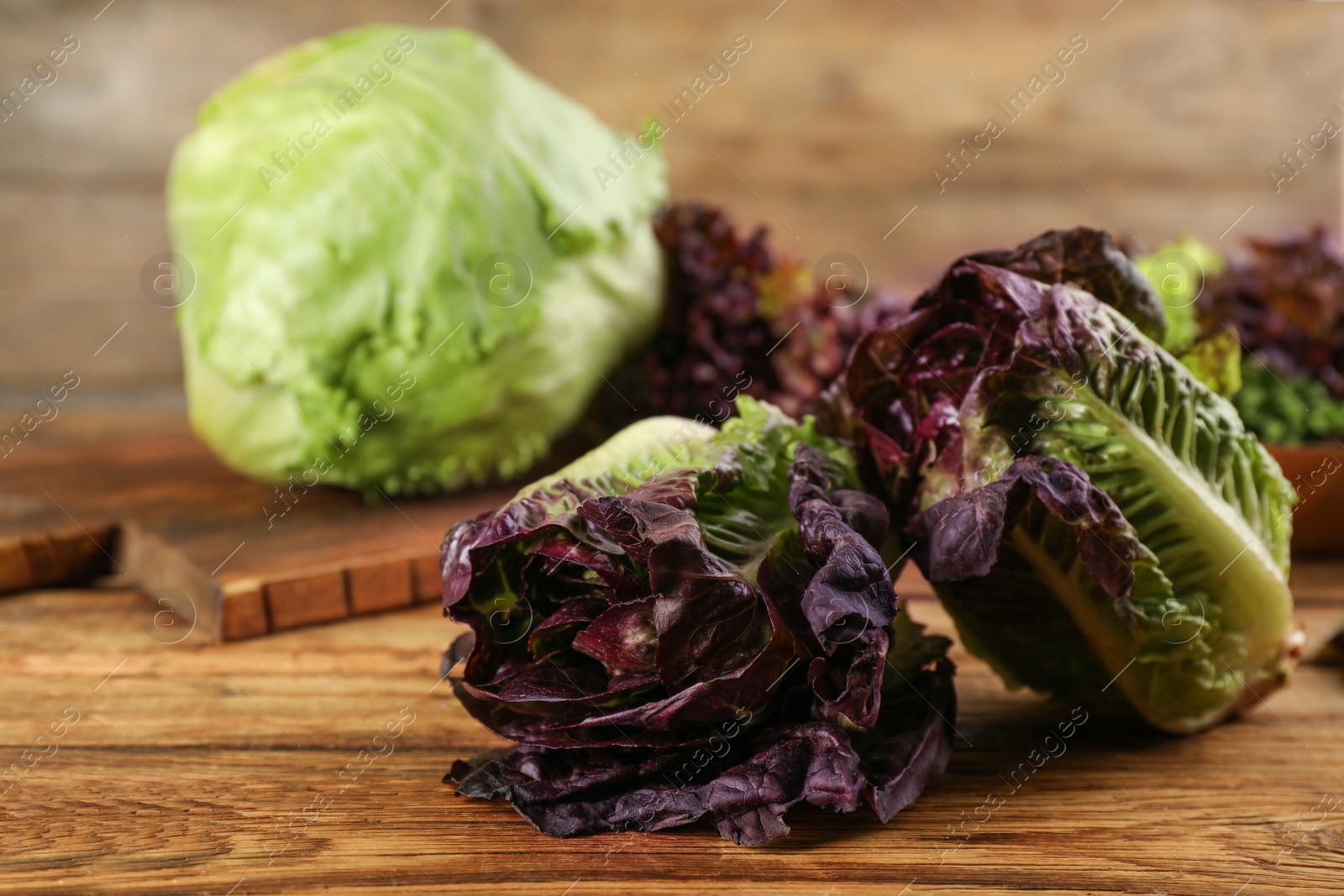 Photo of Red romaine lettuce on wooden table, space for text