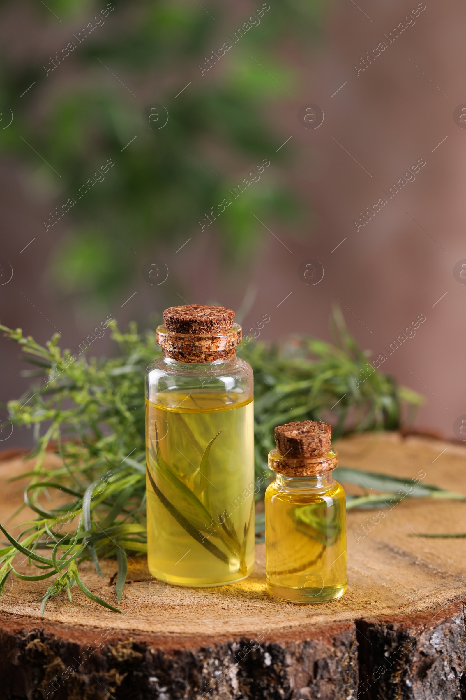 Photo of Bottles of essential oil and fresh tarragon leaves on wooden stump. Space for text