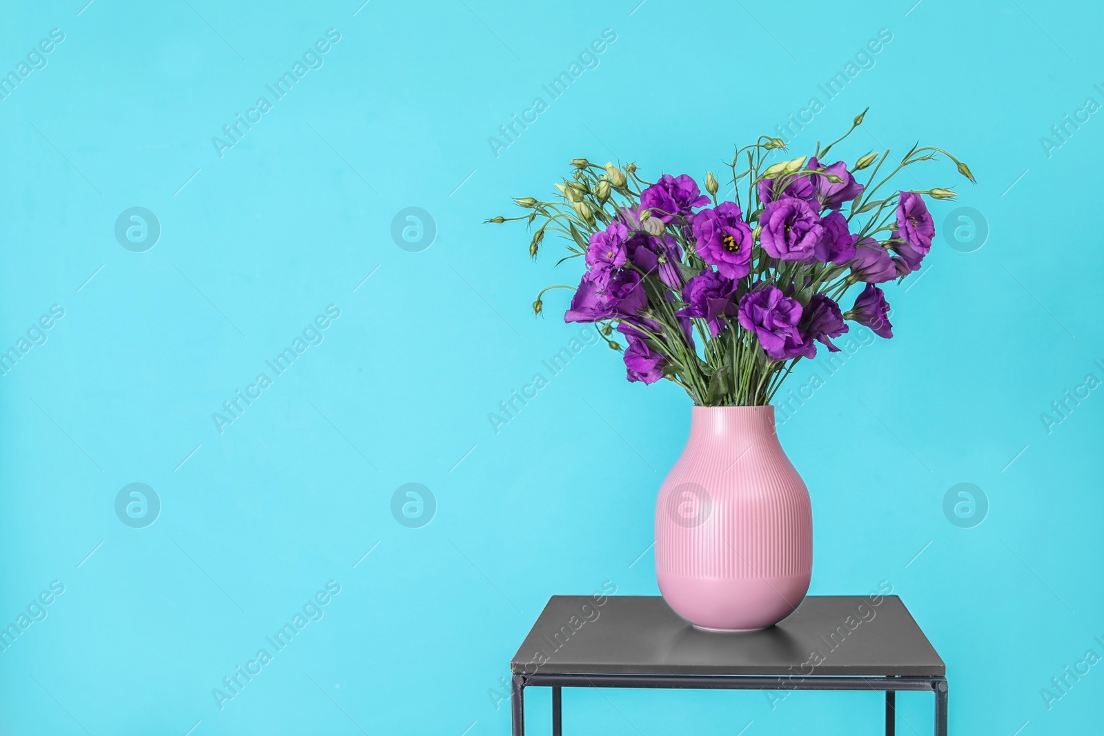 Photo of Beautiful bouquet of purple eustoma flowers in vase and space for text on color background