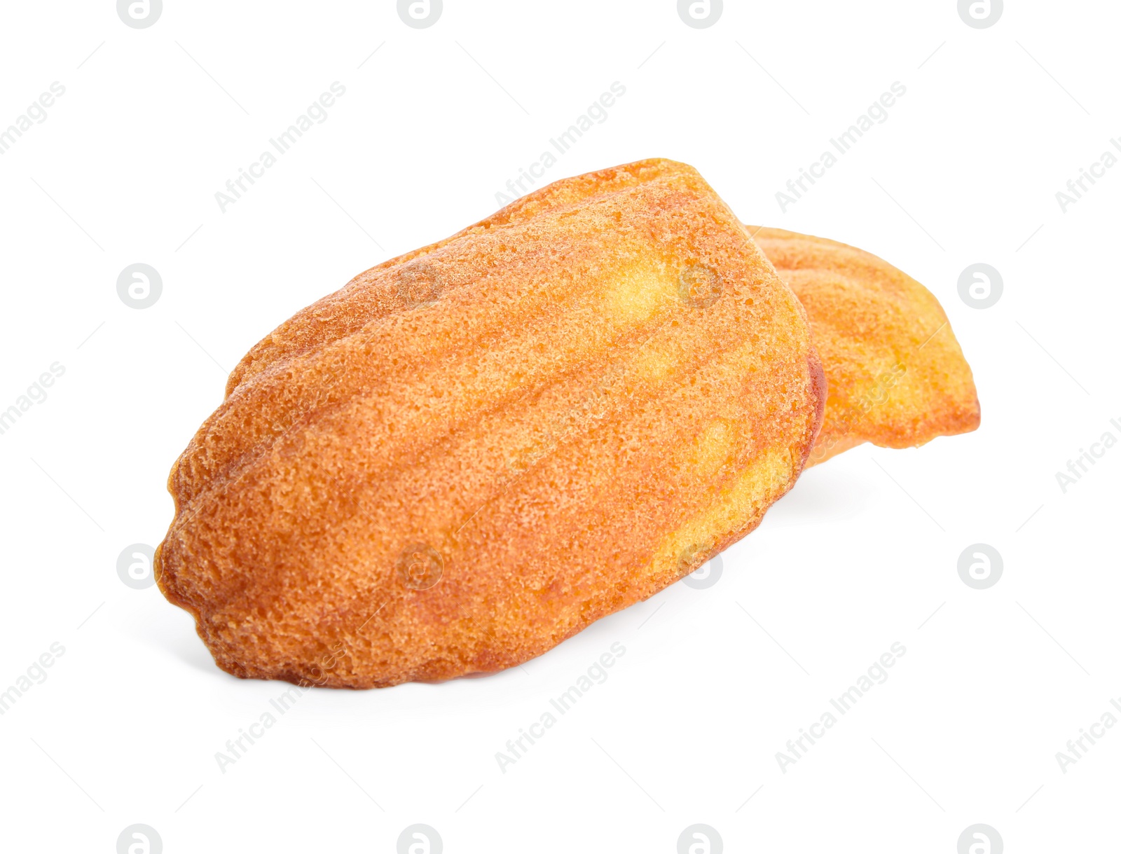 Photo of Delicious homemade madeleine cakes on white background