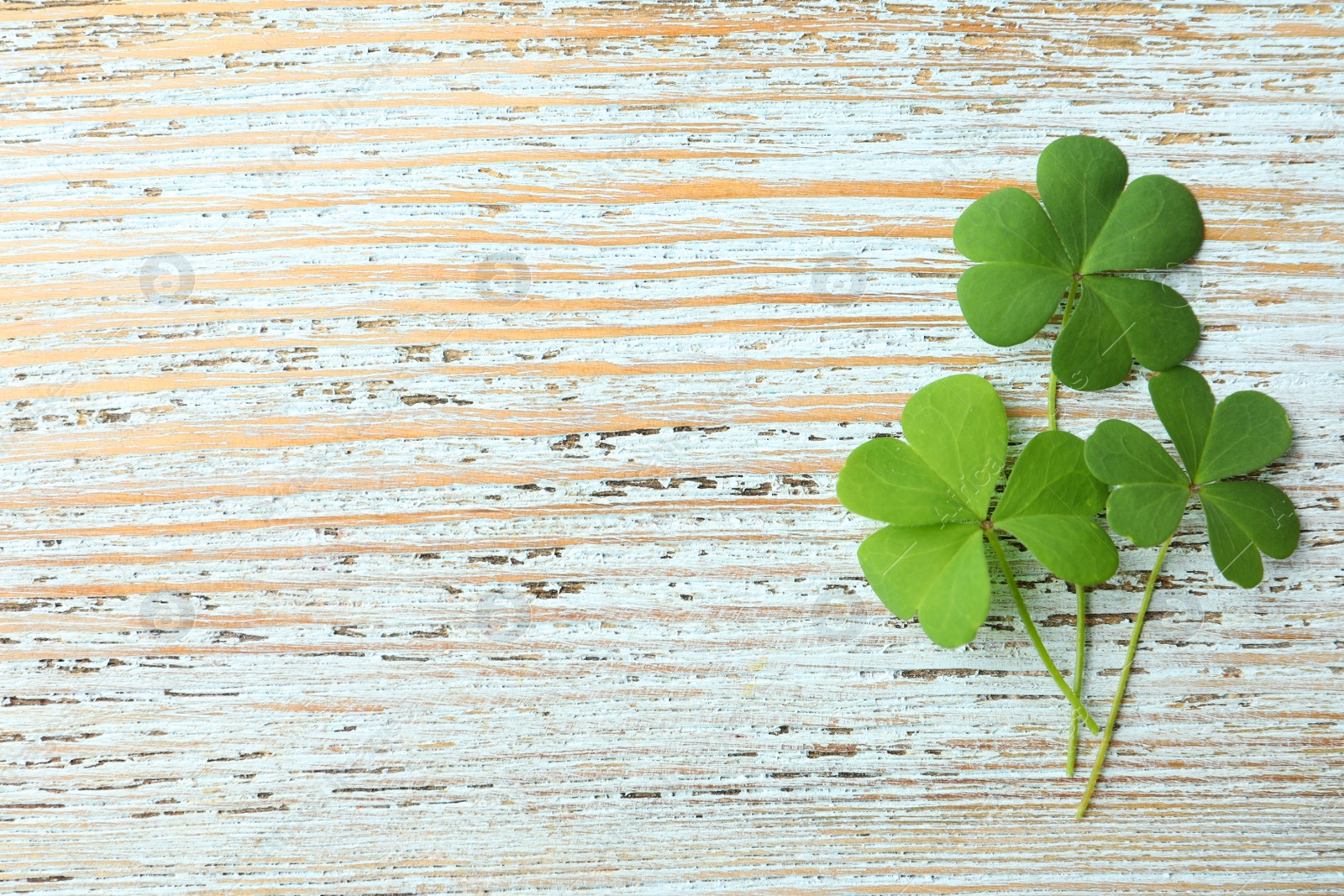 Photo of Clover leaves on light wooden table, flat lay with space for text. St. Patrick's Day symbol