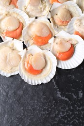 Photo of Fresh raw scallops with shells on black textured table, flat lay. Space for text