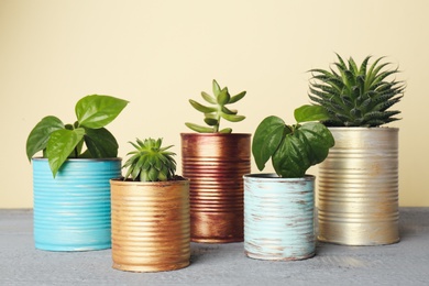 Beautiful houseplants in tin cans on light grey wooden table