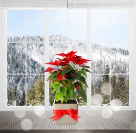 Image of Christmas traditional poinsettia flower in pot on table near window, bokeh effect