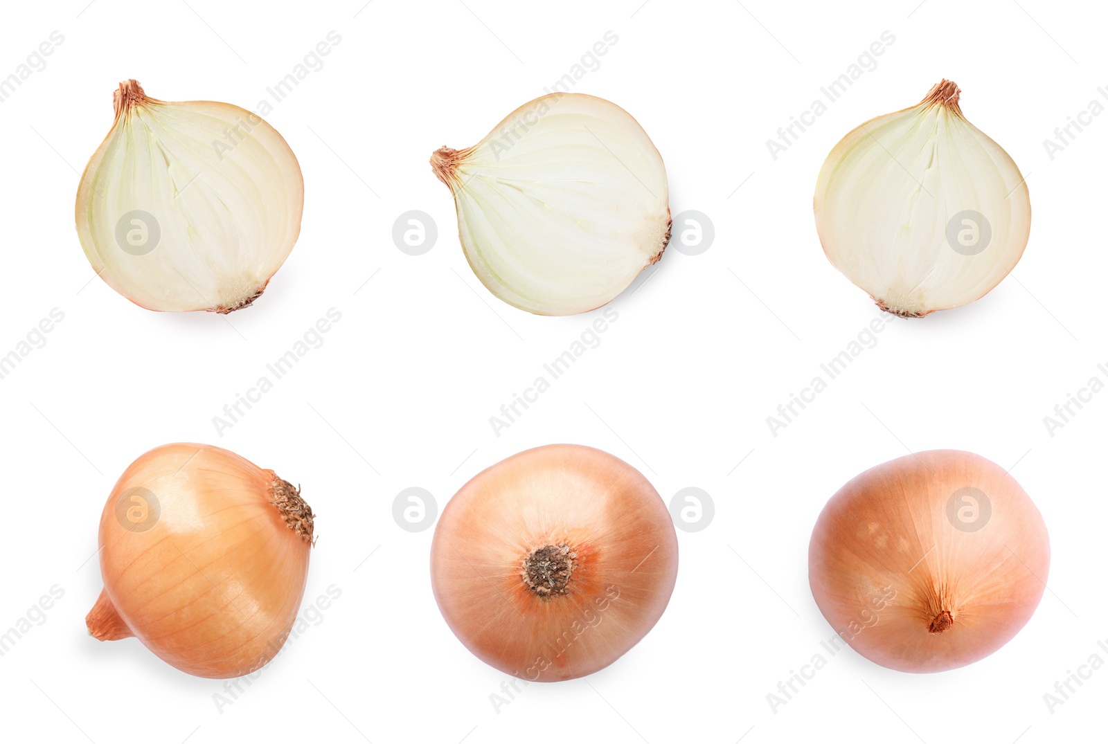 Image of Collage with fresh onions on white background, top view