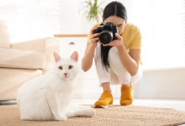 Photo of Professional animal photographer taking picturebeautiful white cat indoors