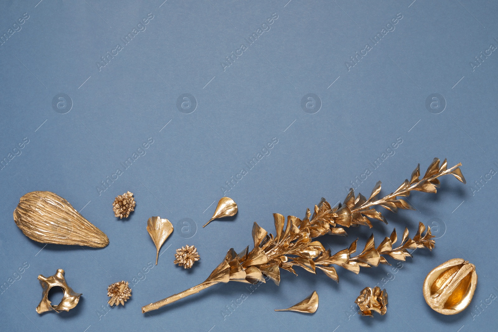 Photo of Flat lay composition with golden dried flowers on blue background. Space for text