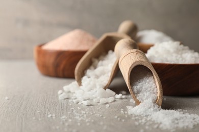 Photo of Different natural salt on grey textured table, closeup. Space for text