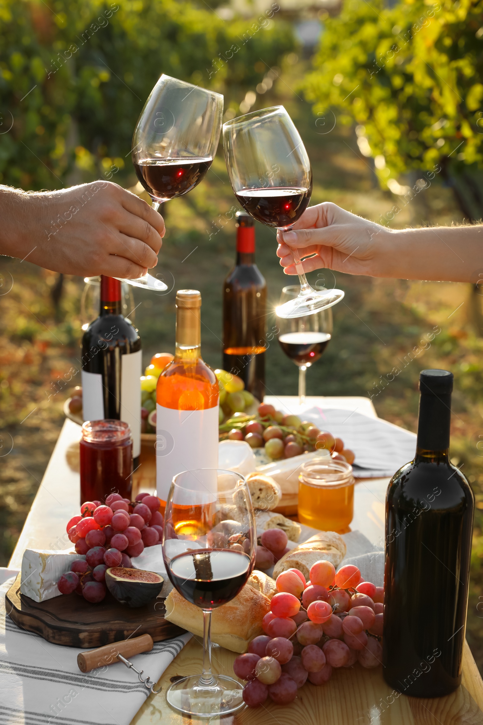 Photo of Couple with glasses of wine in vineyard on sunny day, closeup