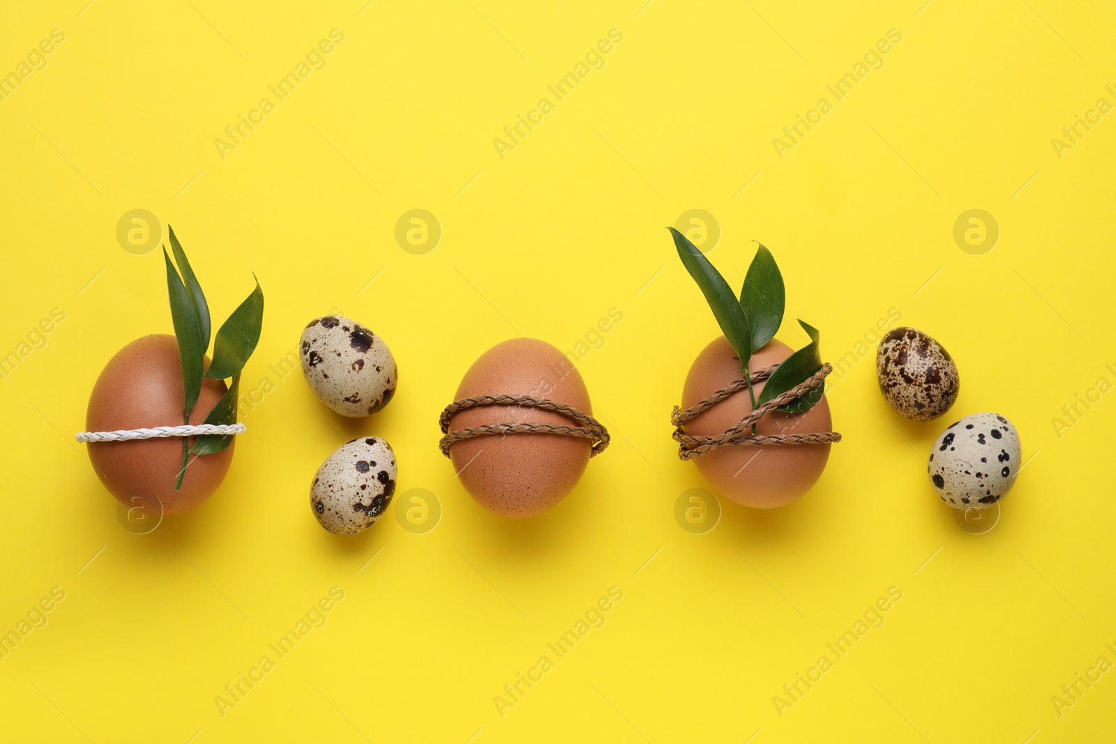 Photo of Easter eggs decorated with green leaves on yellow background, flat lay