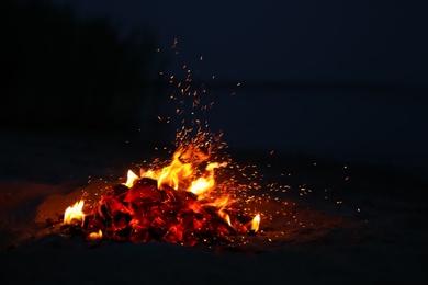 Photo of Beautiful bonfire with burning firewood on beach at night