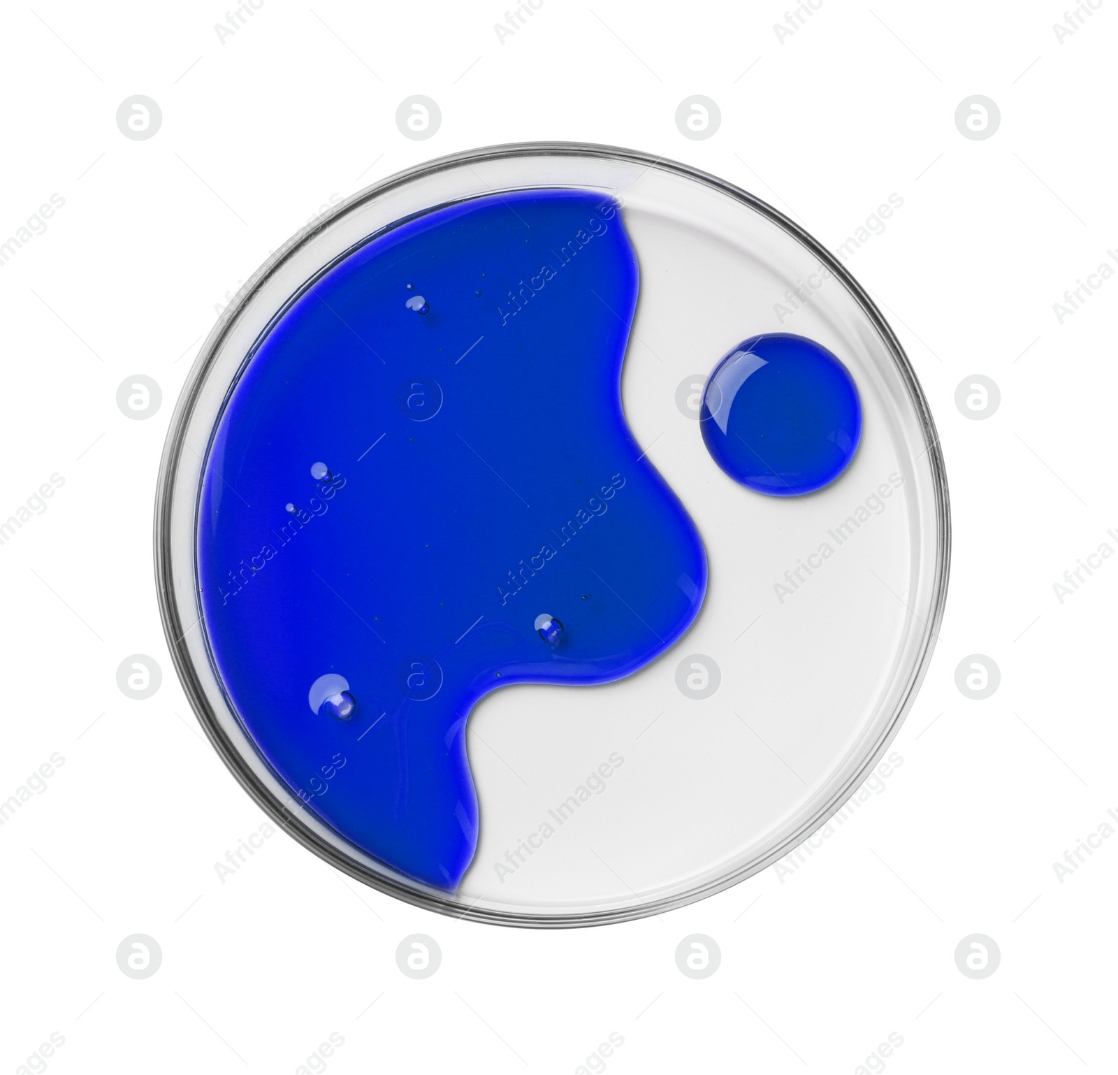 Photo of Petri dish with color liquid sample on white background, top view