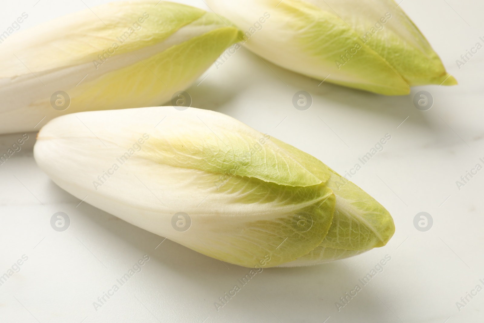 Photo of Raw ripe chicories on white marble table, closeup