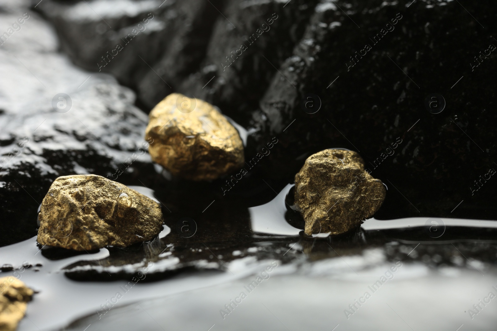 Photo of Shiny gold nuggets on wet stone, closeup