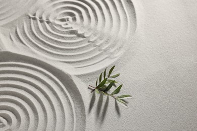 Photo of Beautiful spirals and branches on sand, space for text. Zen garden
