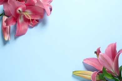 Beautiful pink lily flowers on light blue background, flat lay. Space for text