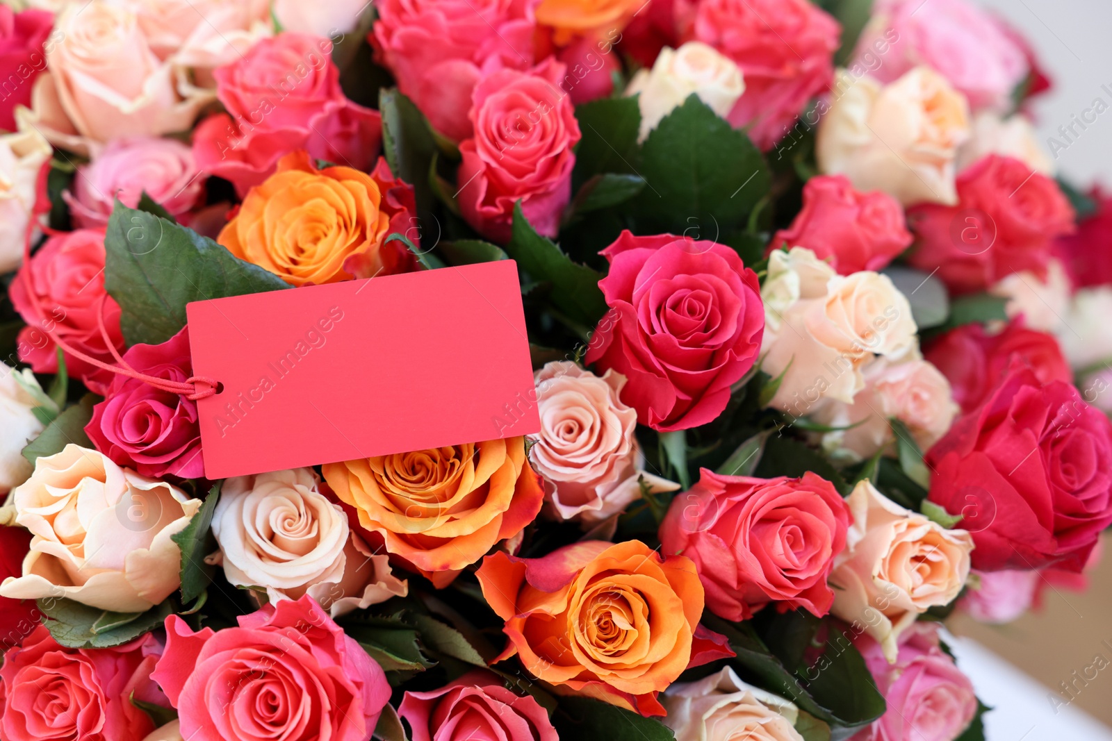 Photo of Bouquet of beautiful roses with blank card, closeup