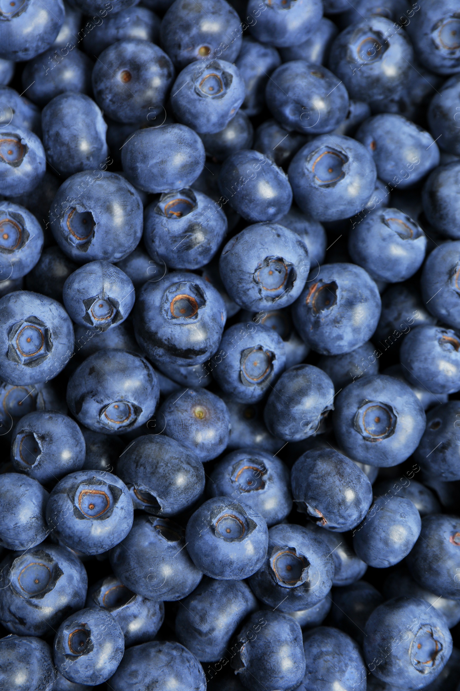 Photo of Tasty fresh blueberries as background, top view