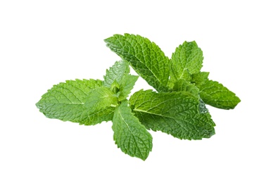 Photo of Leaves of fresh mint on white background