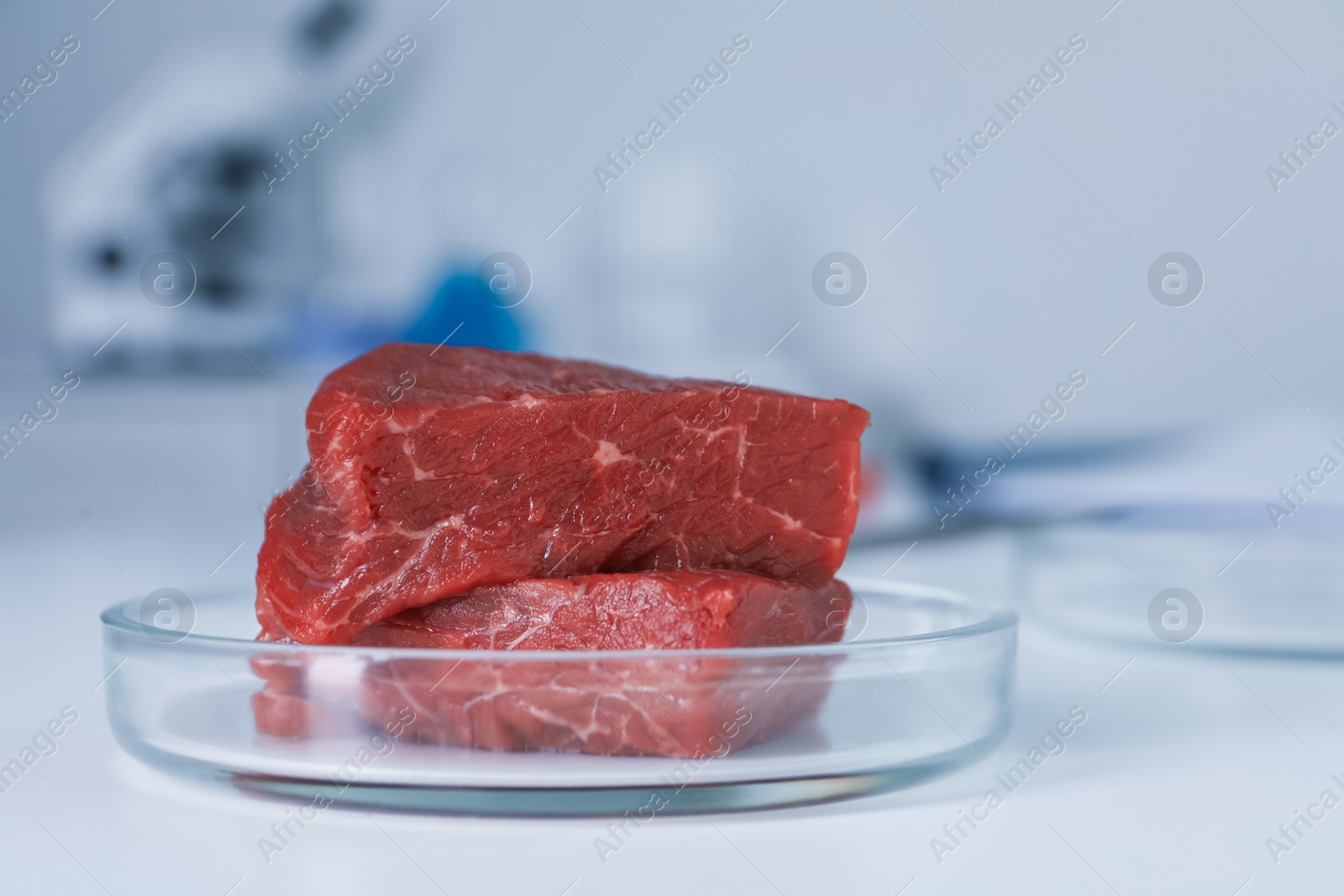 Photo of Petri dish with pieces of raw cultured meat on white table in laboratory, closeup. Space for text