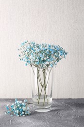 Photo of Beautiful gypsophila flowers in vase on grey textured table against light wall