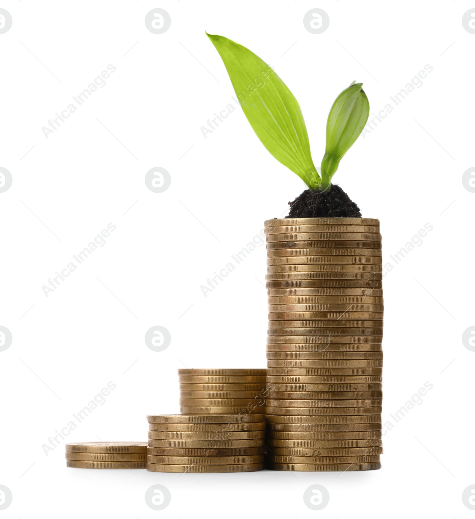 Photo of Stacks of coins and green plant on white background. Investment concept