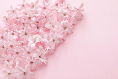 Photo of Pile of spring hyacinth flowers on color background, closeup. Space for text