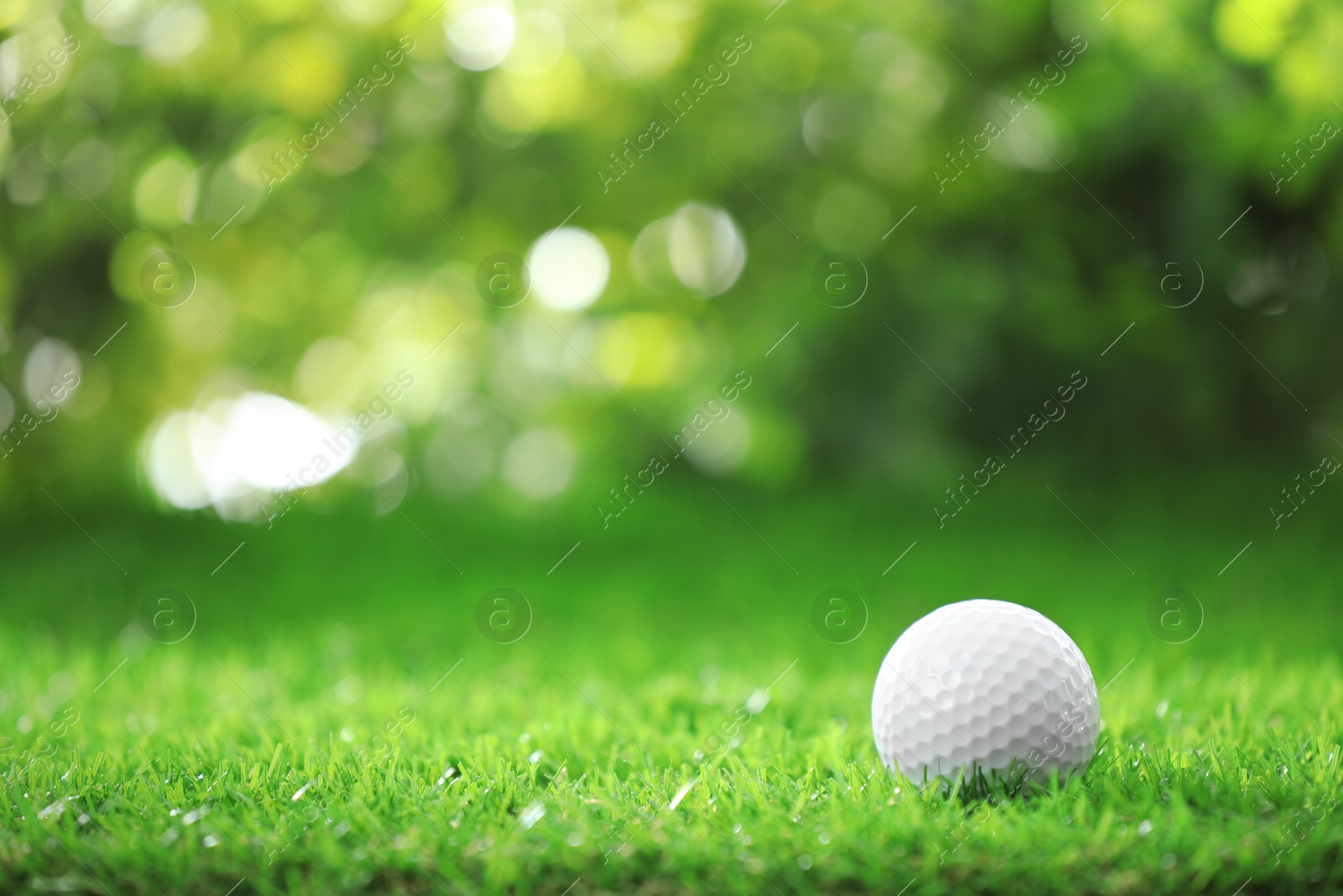 Photo of Golf ball on green grass against blurred background