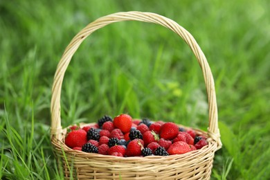 Wicker basket with different fresh ripe berries outdoors, closeup