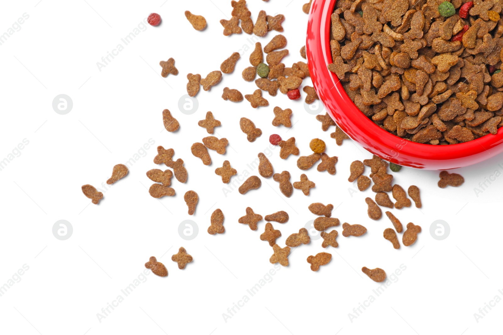 Photo of Bowl with food for cat or dog on white background. Pet care