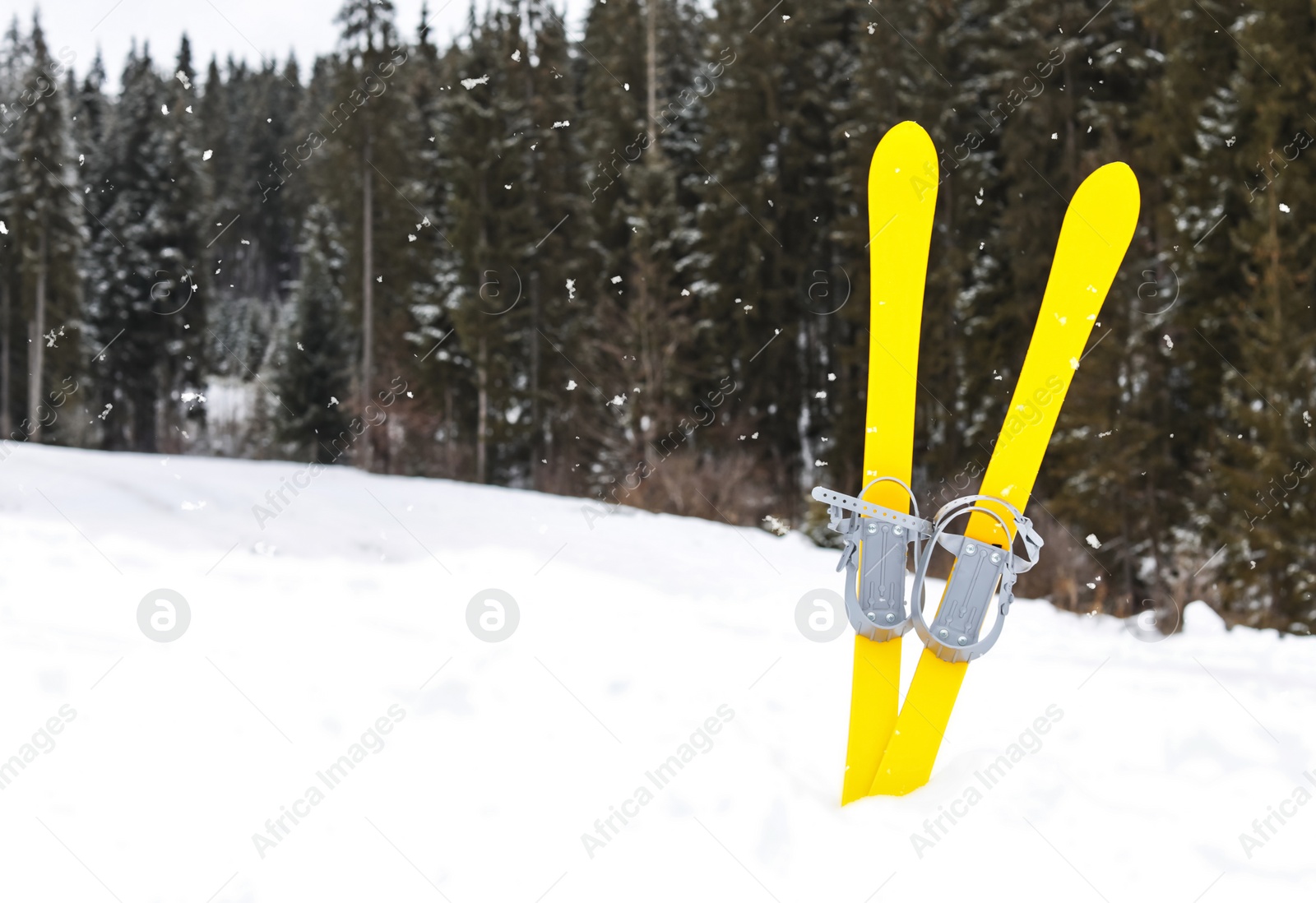 Photo of Ski equipment in snow outdoors, space for text. Winter vacation