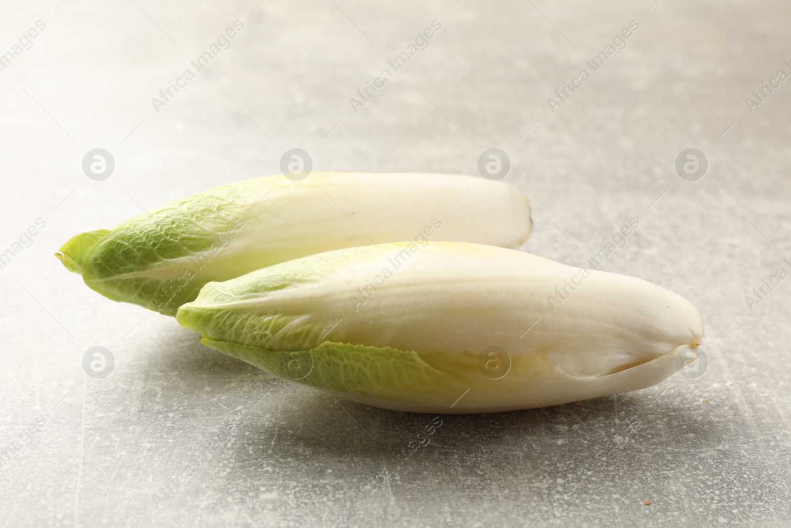 Photo of Fresh raw Belgian endives (chicory) on light grey table