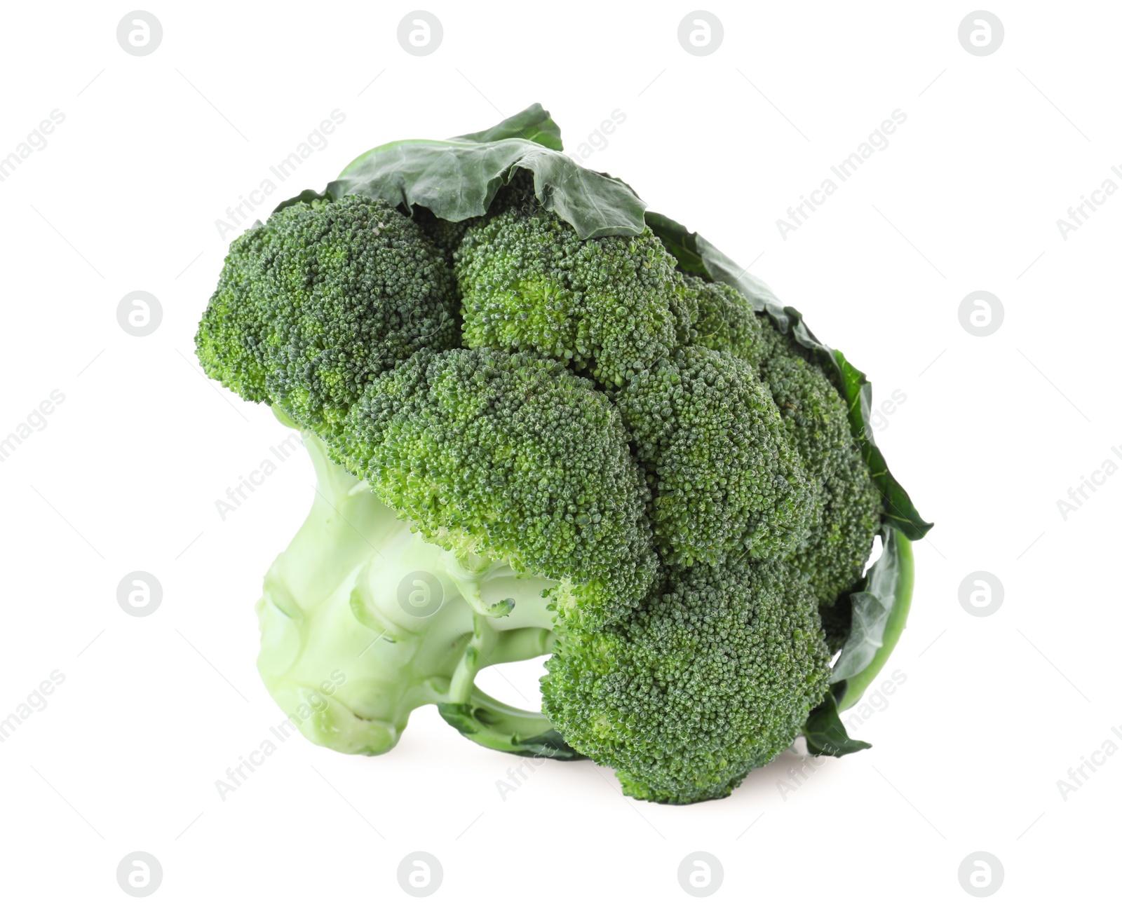 Photo of Fresh green broccoli isolated on white. Organic food