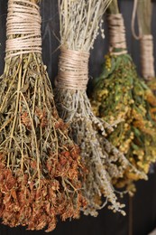Photo of Bunches of different dry herbs hanging on wooden background, closeup